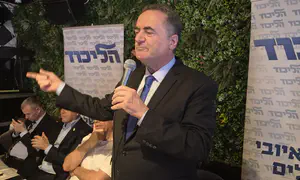 'Israel will only join attacks on Iran if Trump asks us to'