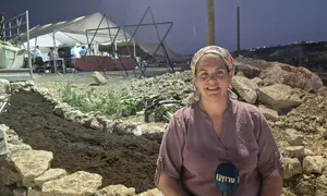 גבעה חדשה לזכרו של בניהו