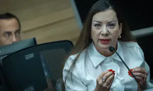 גוטליב מצביעה: זה המדליף מהקבינט
