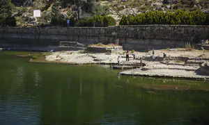 נעצר הפיילוט לכניסת ישראלים לבריכות שלמה