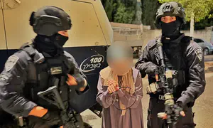 Задержана подстрекательница, восхвалявшая резню 7 октября