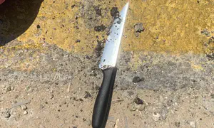 Stabbing attack foiled, pregnant terrorist arrested