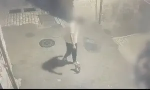 בן 15 בעט בגור חתולים - ונעצר