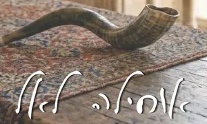 הצליל שהחזיר את אופיר כהן לשורשים