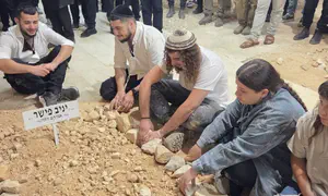 חמישה יתומים - ואף אחד מהם לא יישאר לבד