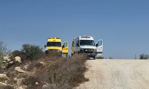 Террористическая атака на ферме Маоз Йехуда в Самарии