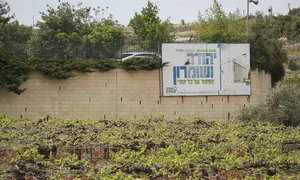 UK Jewish leaders condemn ban on Israeli settlement imports