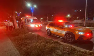 Ученик ешивы пострадал от укуса змеи во дворе ешивы
