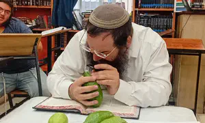 רבני הציונות הדתית בוחרים את ארבעת המינים