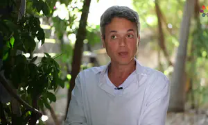בן ארצי: תפילה מרגשת - רגע לפני הופעה