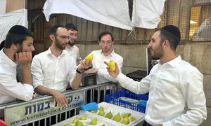 האתרוגים, המחירים והשיר של אהרן רזאל