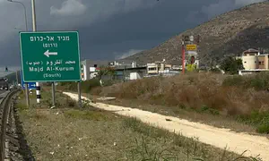 מאות דגלי ישראל נתלשו סמוך למג'ד אל-כרום