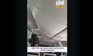 Watch: Israelis rush towards cockpit as plane plummets