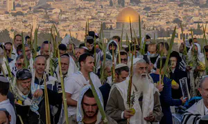 התמונה המצמררת מהושענא רבה