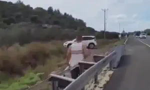 חרפה בגליל: תלש דגל ישראל