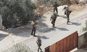Attempted abduction of Israeli in Samaria