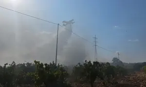 השריפה בצומת הגוש נבלמה סמוך לבתים