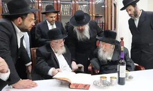 ראש הישיבה הישיש נועד עם האדמו"ר מגור