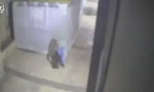 הצהרת תובע נגד מצית סוכה בירושלים