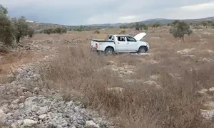 Jewish shepherd rammed by Palestinian Arab