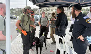 Special search effort for man missing near Jerusalem
