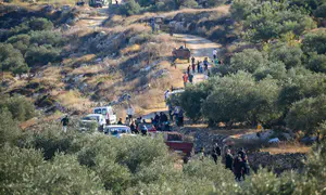 Father and son deported from Israel over illegal olive harvest