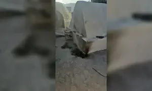 קבר אלעזר הכהן בשומרון הוצת