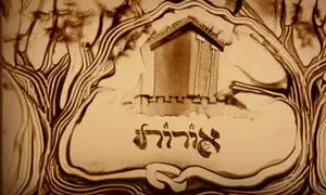 להקת "אורות" בשיר חדש על נבואת האחדות