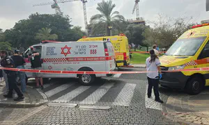 חשד: ירה למוות באחיו - ושם קץ לחייו