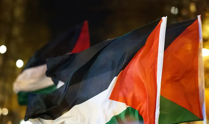 PLO flag permitted at this year’s Eurovision