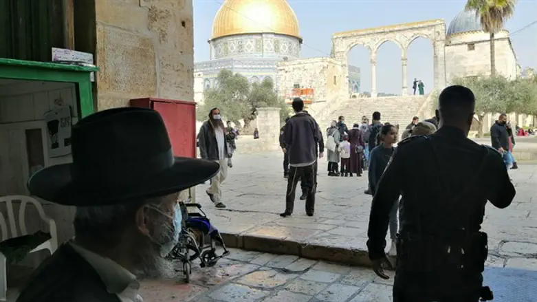 יהודים בהר הבית 