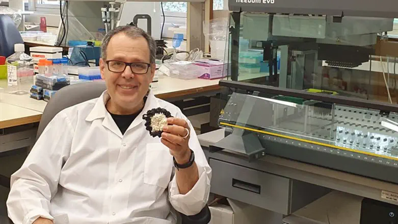 Professor Nir Friedman