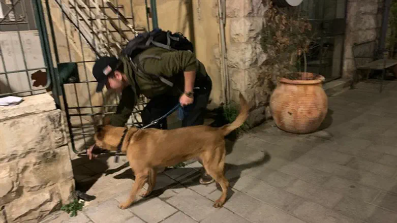 Search for Sarah Rothberg