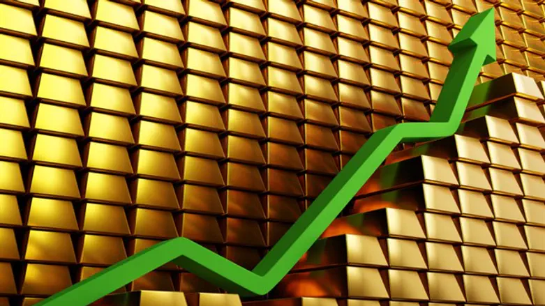 צמיחה בשעת משבר