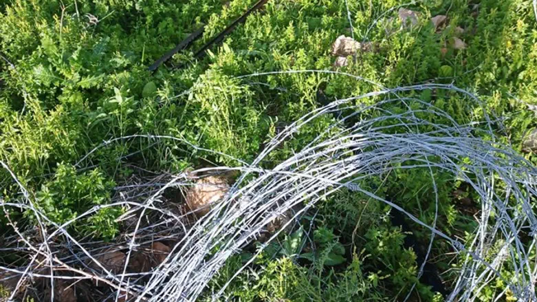 הגדר שהושחתה