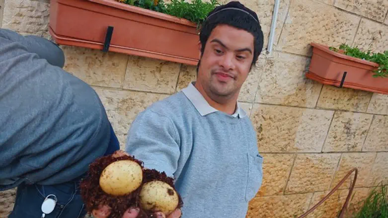 אחד הבוגרים עם תפוחי האדמה שגידלו