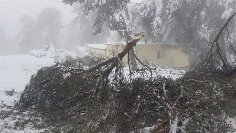 Destruction at Oz vGaon