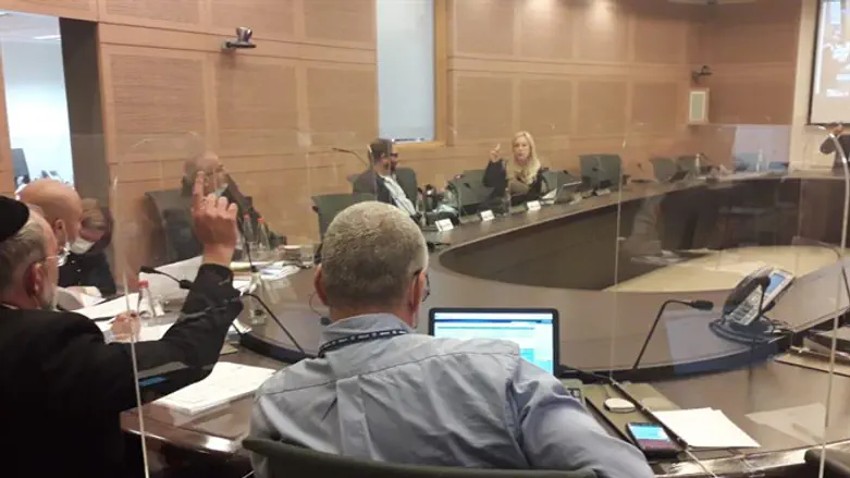 ההצבעה בועדת חוקה