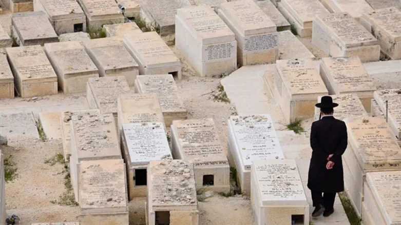 What did You do for the poor widow