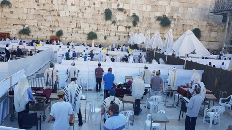 תפילת שחרית בכותל