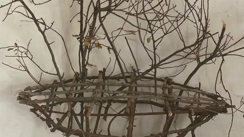 סירת הענפים