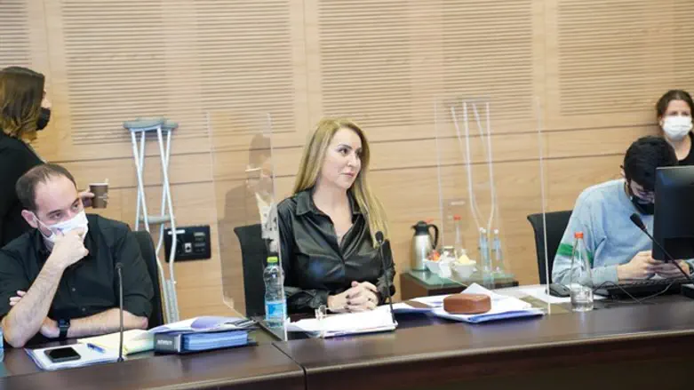 הדיון בתקציב הבחירות