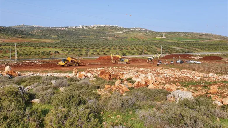 planting new vineyards