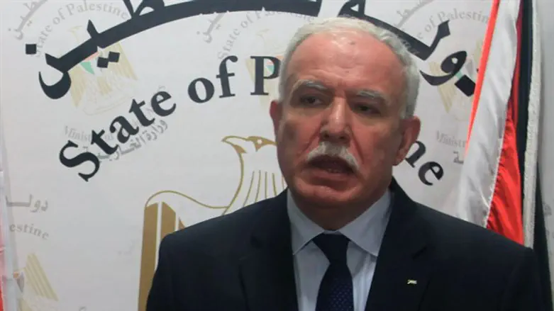 China FM Wang Yi, PA's Riyad al-Malki