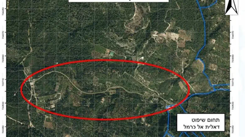 נוטלים את החוק לידיהם 