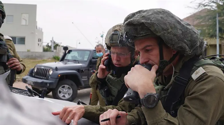 תרגיל ''צמח בר''