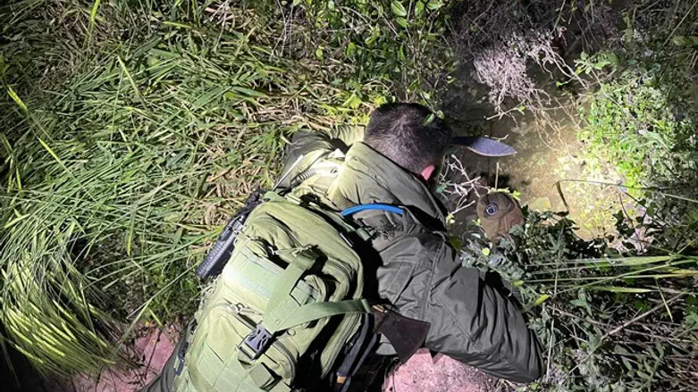 IDU volunteer clears brush during search