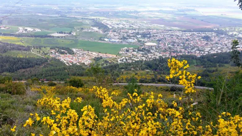 תצפית צופיה