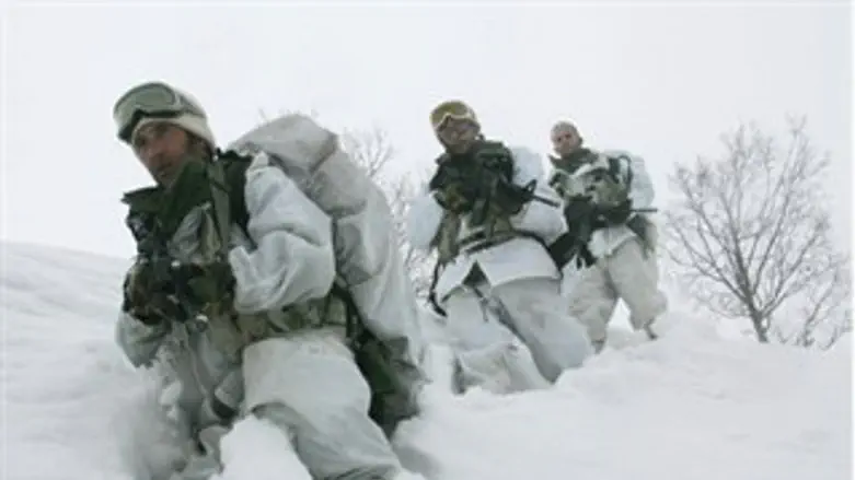 יחידת האלפניסטים.