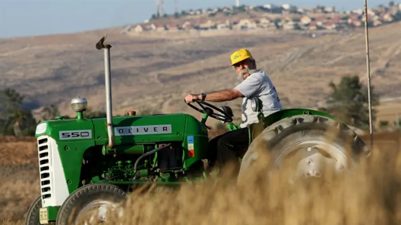 Man drivers tractor on Israeli kibbutz